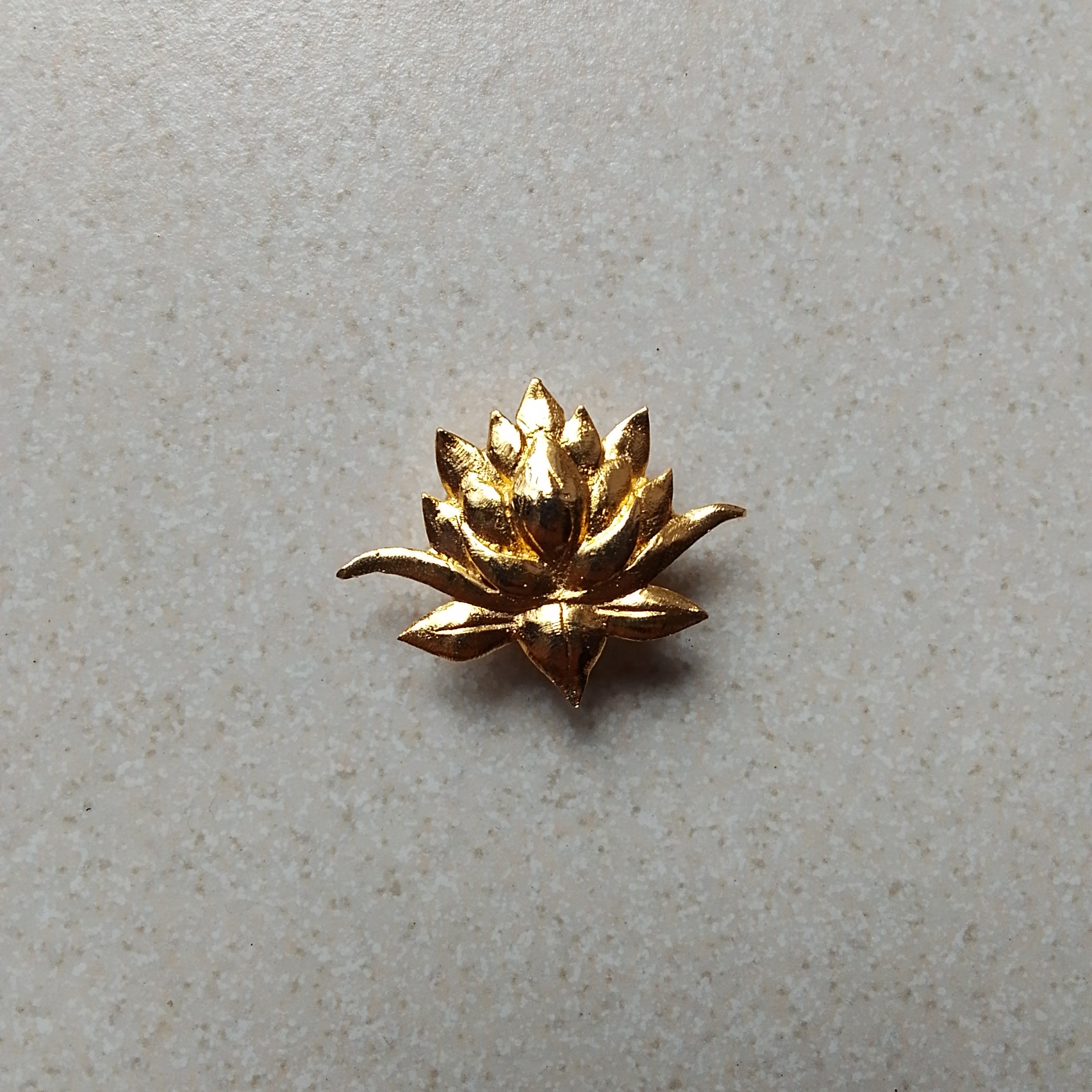 012LotusButtonCover.jpg