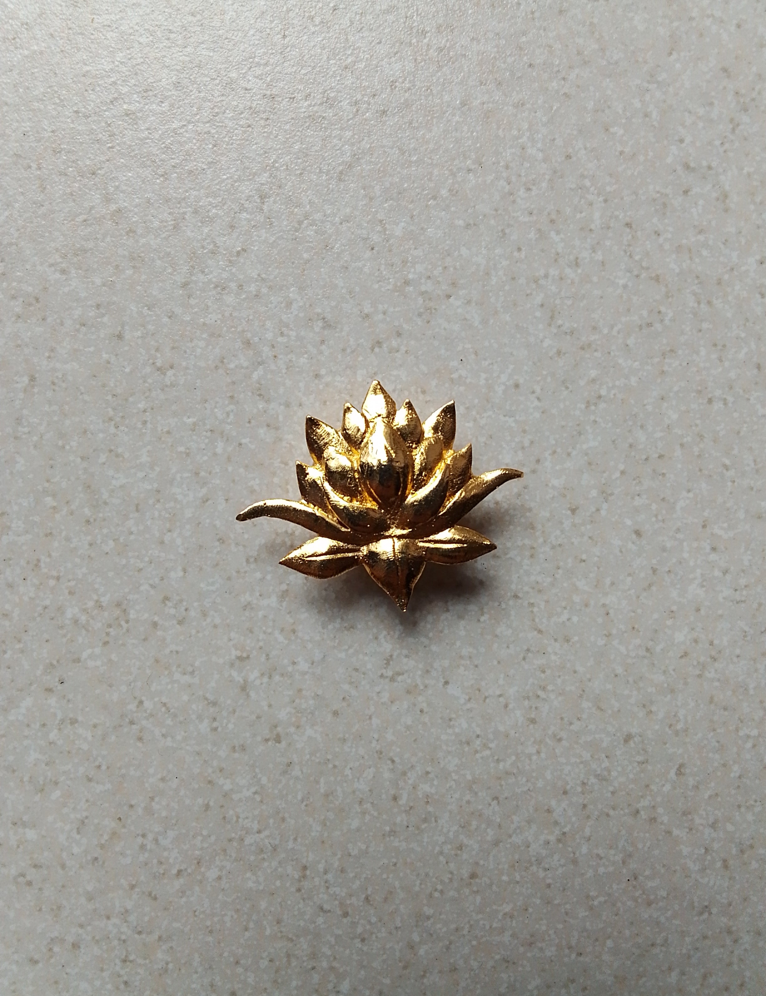 012LotusButtonCover.jpg