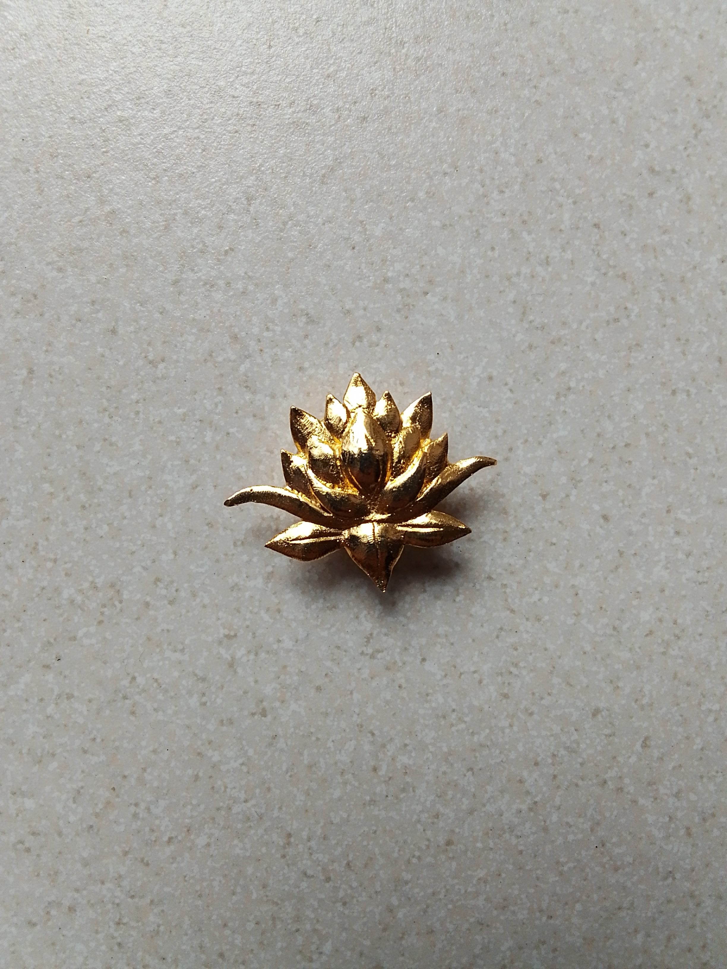 012 Lotus Button Cover